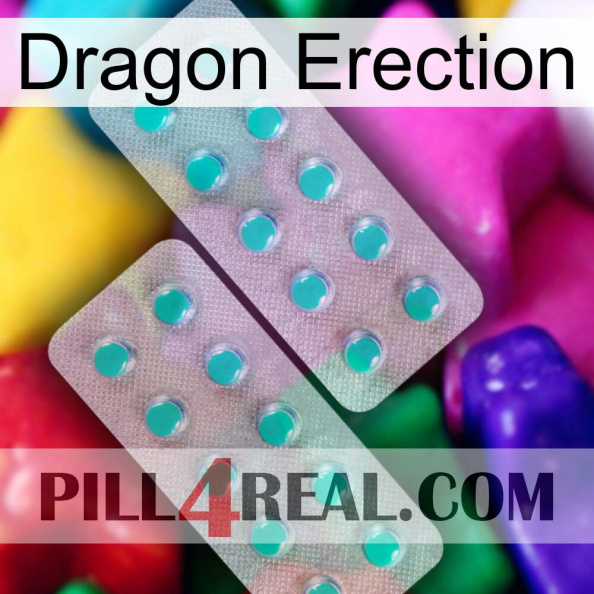 Dragon Erection 29.jpg